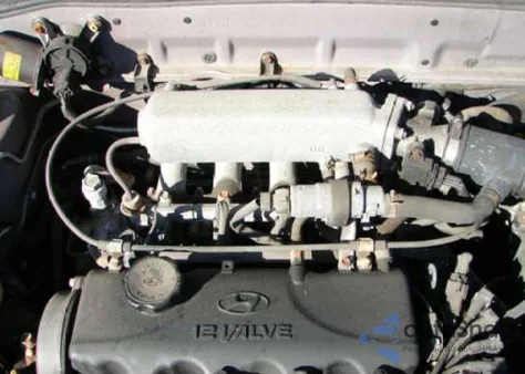 1996 Hyundai Accent z USA, uszkodzony, nr VIN KMHVF14N7TU301907